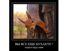 1299439584_lmdlw9xpas31.jpg