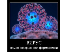 1299678115_4rhlnyboj2x8.jpg