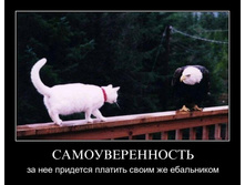 1300050287_grsijfkblzan.jpg
