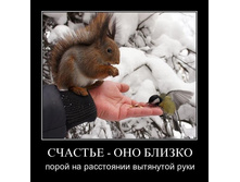 1300050583_zil86wugi3jr.jpg