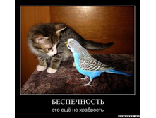 1300052487_15ehrf8xxathx.jpeg