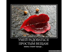 1300052518_1umej-radovatsya-prostyim-vescham.jpeg