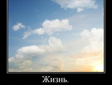 1300052542_1zhizn.jpeg