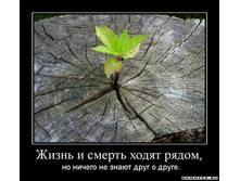 1300052558_1zhizn-i-smert-hodyat-ryadom-.jpeg