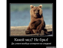 1300052560_14bda356c7651d8e553169cd0579d9fda.jpeg