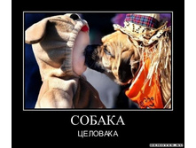 1300052571_11298975671-sobaka.jpeg