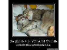 1300052631_11299125799-za-den-my-ustali-ochen.jpeg