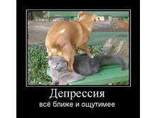 1302158430_depressiya.jpg