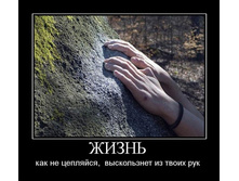 1302159785_zhizn.jpg