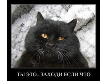 1302165992_9mqzef044h27.jpg