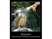 1302708286_i5pz4krdzzch.jpg