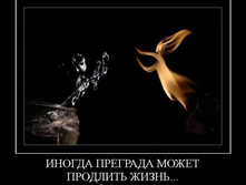 1302727114_1inogda-pregrada-mozhet-prodlit-zhizn.jpeg