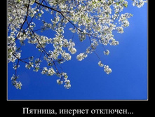 1302892332_xfe1xdb3vrr6.jpg