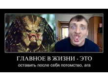 1303497280_i6fqpp44snta.jpg
