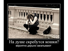 1303928933_na-dushe-skrebutsya-koshki.jpg