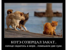 1304098968_m0gddzzeaplj.jpg