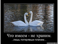 1305441008_1chto-imeem-ne-hranim.jpeg