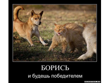 1305441042_1im6gzwvu9ybj.jpeg