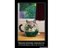 1305441050_1preuvelichenie-opasnosti.jpeg