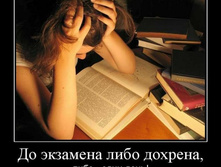 1305441660_1do-ekzamena-libo-dohrena.jpeg