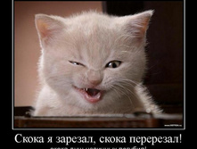 1305441687_1skoka-ya-zarezal-skoka-pererezal.jpeg