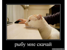 1305441726_1ryibu-mne-skachaj.jpeg