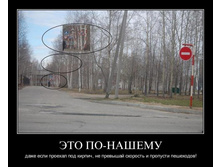 1305444198_s0cq8ay3a940.jpg