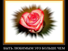 1306064727_lh2eiuyl1blx.jpg