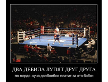 1306065606_0f1k8erkjato.jpg