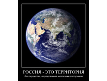 1306525478_jzghf8evqn50.jpg