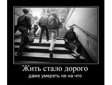 1306529484_zhit-stalo-dorogo.jpg