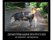 1306691928_xkvif3ikopzj.jpg