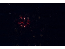 20110612 - Salut - 6215.jpg