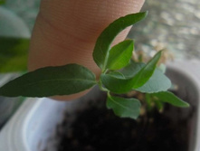 ��������2