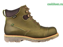 801 musgo �������