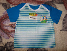 �������: 119*030