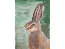 ���� 001.jpg