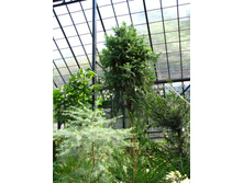 ��������� �� ����� �����