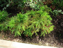 �����������?