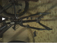 IMG0219.jpg