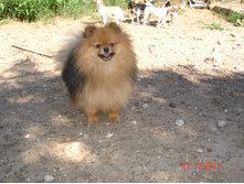 DSC00547.JPG