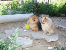 DSC00577.JPG