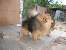 DSC00630.JPG