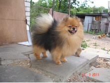 DSC00632.JPG