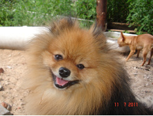 DSC00634.JPG