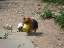 DSC00642.JPG