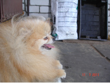 DSC00592.JPG