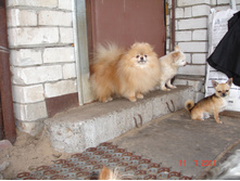 DSC00609.JPG