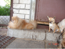 DSC00618.JPG