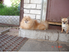 DSC00619.JPG